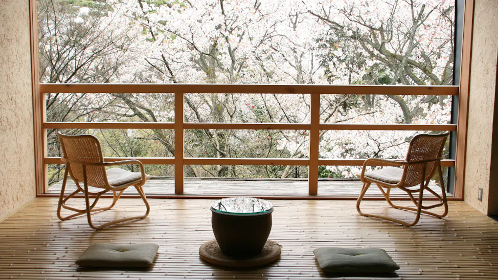 満開の桜を独り占め！お部屋から桜が見える宿　西日本編