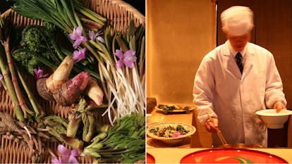 春 の味覚を堪能する山菜料理がおいしい宿4選 一休コンシェルジュ 春 の味覚を堪能する山菜料理がおいしい宿4選 一休コンシェルジュ