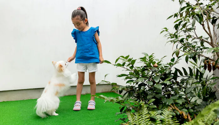 ペットと一緒に京都旅行 暮らすような滞在が叶う一棟貸しの宿5選 一休コンシェルジュ