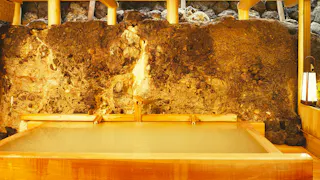 草津温泉唯一の天然岩風呂と美食に癒される老舗旅館