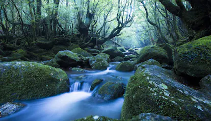 【全国版】世界遺産と併せて行きたい宿特集