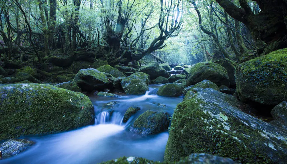 【全国版】世界遺産と併せて行きたい宿特集