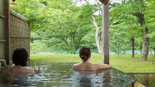 東北の野趣溢れる景色を楽しむ露天風呂がある宿