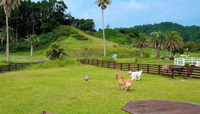 ペットと一緒にグランピングが楽しめる宿 東日本編 一休コンシェルジュ ペットと一緒にグランピングが楽しめる宿 東日本編 一休コンシェルジュ