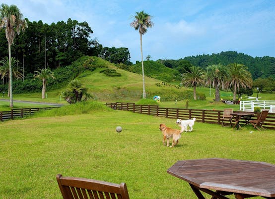 ペットと一緒にグランピングが楽しめる宿 東日本編 一休コンシェルジュ