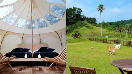 ペットと一緒にグランピングが楽しめる宿　東日本編