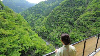 徳島県・祖谷渓谷に佇む全10室露天風呂付の隠れ宿