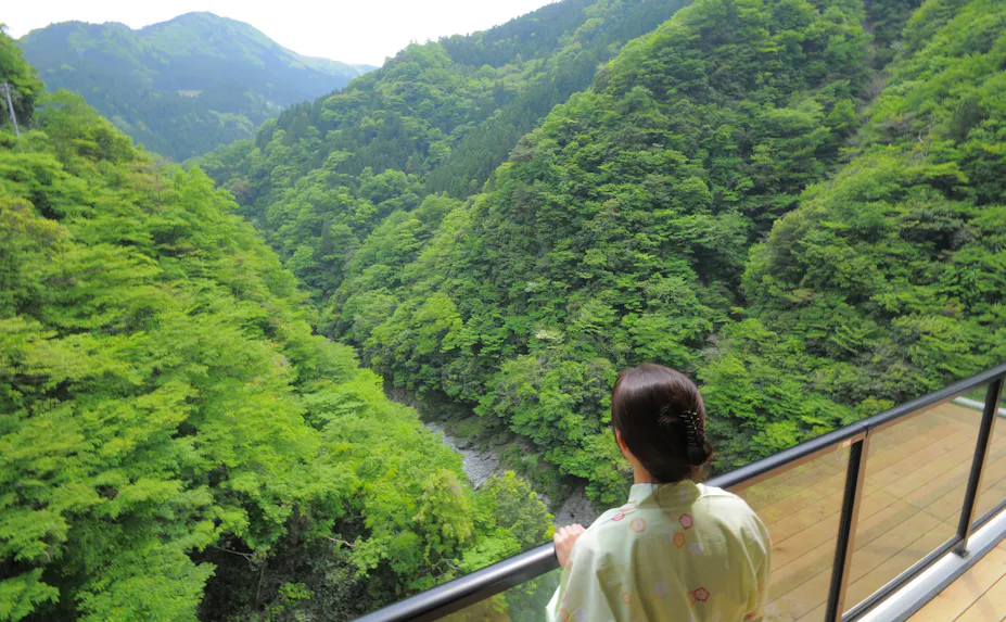 徳島県・祖谷渓谷に佇む全10室露天風呂付の隠れ宿