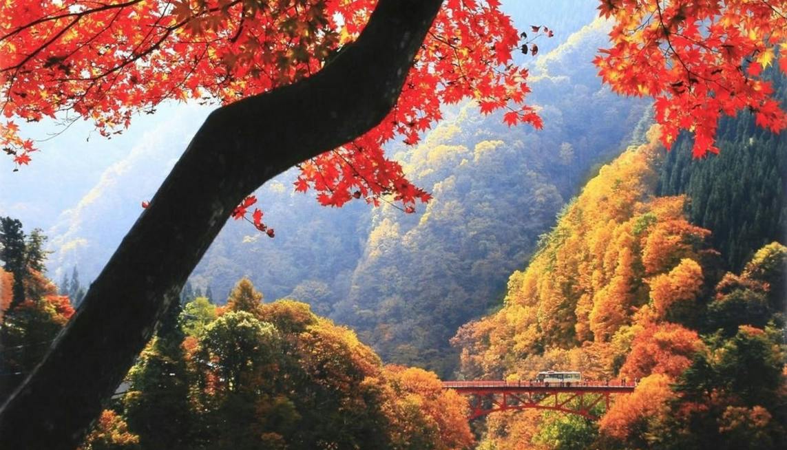 美しい紅葉をお部屋から楽しめる宿 甲信越編 | 一休コンシェルジュ