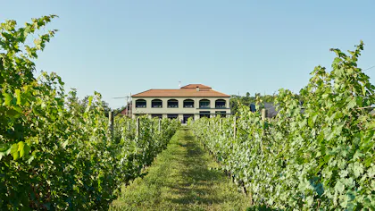 新潟でワイナリーステイ！美食と日本ワインを満喫できるオーベルジュ