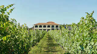 新潟でワイナリーステイ！美食と日本ワインを満喫できるオーベルジュ