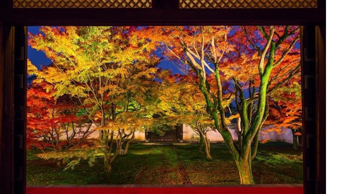 21年度版 京都観光のプロに聞いた 紅葉を楽しむ秋の京都おすすめスポット 一休コンシェルジュ 21年度版 京都観光のプロに聞いた 紅葉を楽しむ秋の京都おすすめスポット 一休コンシェルジュ