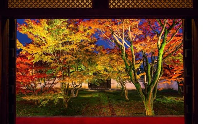 21年度版 京都観光のプロに聞いた 紅葉を楽しむ秋の京都おすすめスポット 一休コンシェルジュ