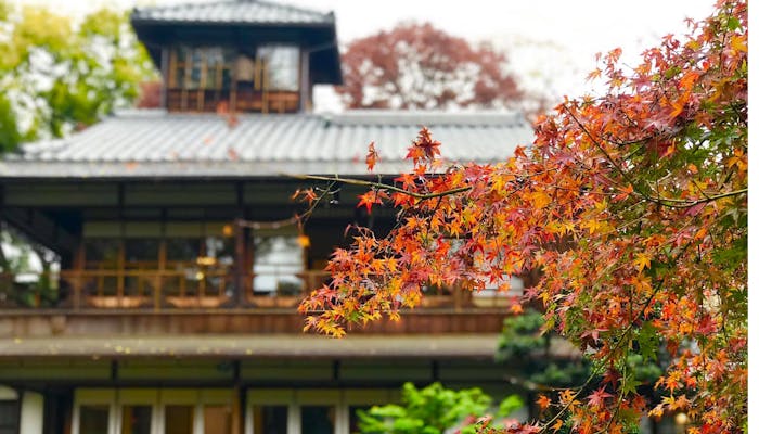 21年度版 京都観光のプロに聞いた 紅葉を楽しむ秋の京都おすすめスポット 一休コンシェルジュ 21年度版 京都観光のプロに聞いた 紅葉を楽しむ秋の京都おすすめスポット 一休コンシェルジュ