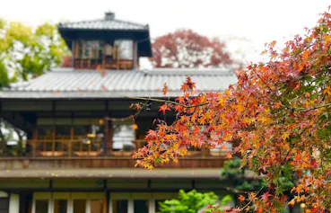 【2021年度版】京都観光のプロに聞いた！紅葉を楽しむ秋の京都おすすめスポット