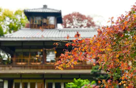 【2021年度版】京都観光のプロに聞いた！紅葉を楽しむ秋の京都おすすめスポット