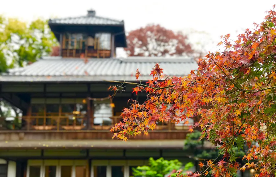 【2021年度版】京都観光のプロに聞いた！紅葉を楽しむ秋の京都おすすめスポット