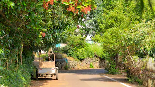 長崎・五島列島、美しい村の古民家で日本の原風景と島時間に安らぐ