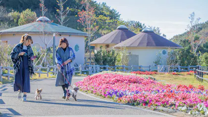 ペットと一緒にグランピングが楽しめる宿　西日本編