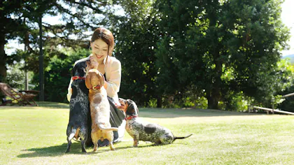 【2021年版】ペットと一緒に泊まれるラグジュアリーな宿3選