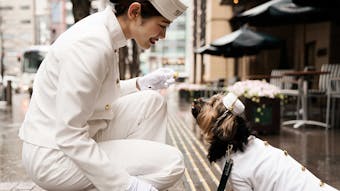 ペットと一緒に泊まれる東京のラグジュアリーホテル6選