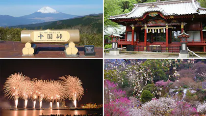 【2022年版】熱海観光のプロに聞いた！熱海のおすすめ観光スポット 春編