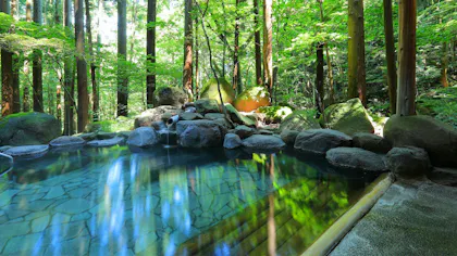 名湯を求めてわざわざ行きたい、穴場の隠れ家温泉宿