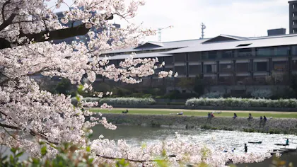 ホテルで桜を楽しめる京都のラグジュアリーホテル5選