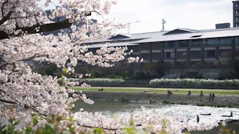 ホテルで桜を楽しめる京都のラグジュアリーホテル5選