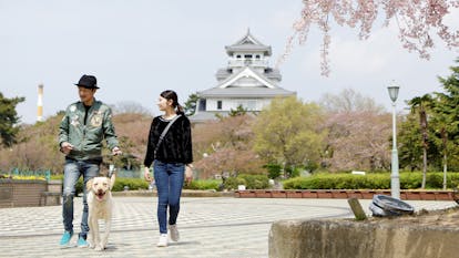 ペットと一緒に泊まれるおすすめの宿 関西編 一休コンシェルジュ