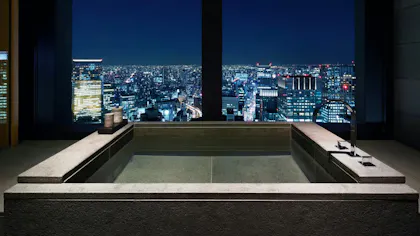 美しい夜景に癒されるホテルのビューバス　東京編