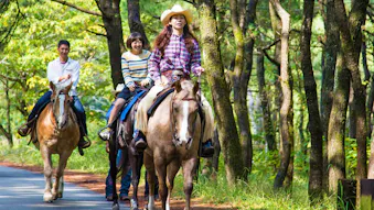 初心者にもおすすめ！馬と自然に触れ合う乗馬体験ができる宿5選
