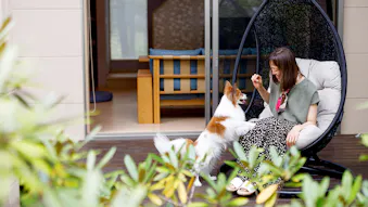 軽井沢でペットと泊まれる100平米以上の一棟貸しヴィラ4選