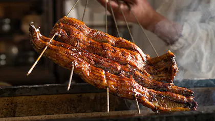 夏の風物詩、鰻料理を楽しめる宿5選