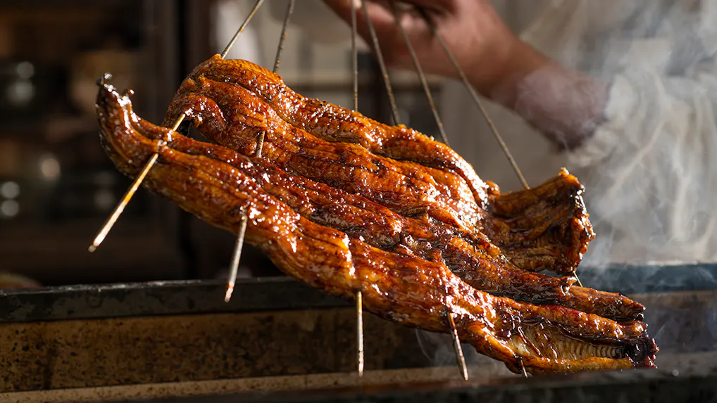 夏の風物詩、鰻料理を楽しめる宿5選