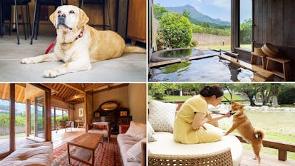 大型犬も滞在ok ペットと一緒に泊まれるおすすめの宿 西日本編 一休コンシェルジュ