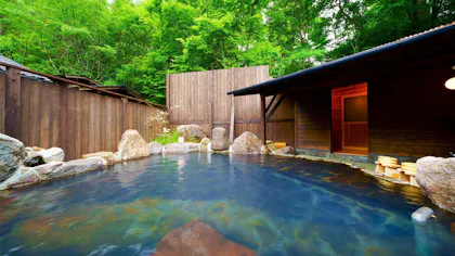 露天・半露天風呂が2つあるお部屋で温泉三昧が叶う、西日本エリアのおすすめ宿