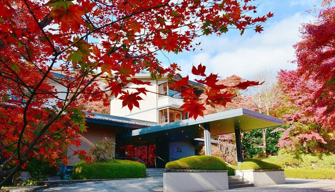 中古】 露天風呂と味覚の旅 大阪から紅葉の旅決定版/徳間書店