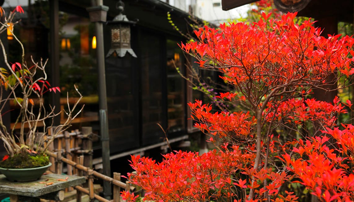 露天風呂から紅葉を楽しめる泉質自慢の宿 西日本編 | 一休