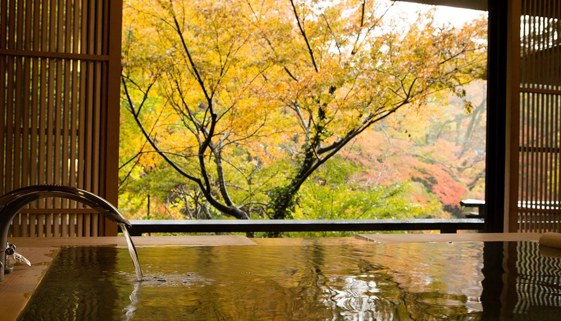 1801.jpg?auto=format&fit=crop&