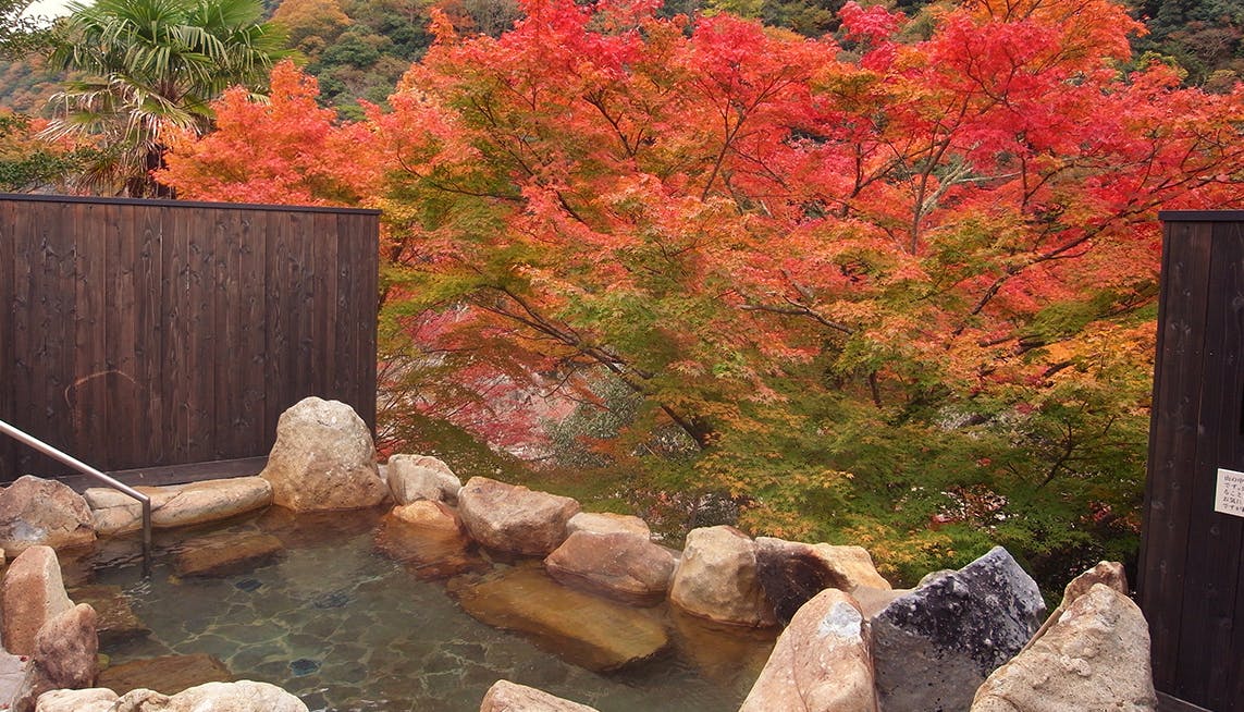 露天風呂から紅葉を楽しめる泉質自慢の宿 西日本編 | 一休