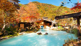 露天風呂から紅葉を楽しめる泉質自慢の宿　東日本編