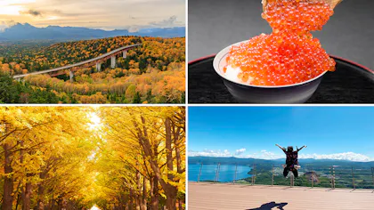 北海道観光のプロに聞いた！北海道のおすすめ観光スポット　秋編