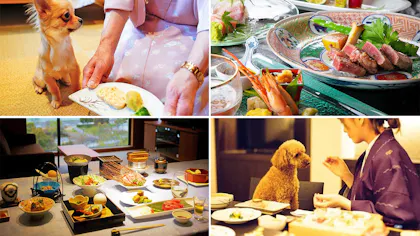 愛犬用のメニューも！ペットと一緒に食事ができるおすすめの宿　西日本編