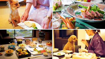 愛犬用のメニューも！ペットと一緒に食事ができるおすすめの宿　西日本編