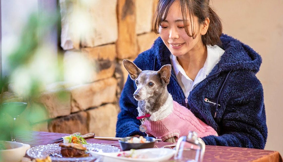 犬とリゾートホテル ペットの食事 クリアランス