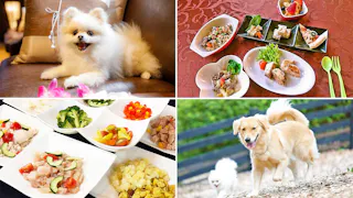 愛犬用のメニューも！ペットと一緒に食事ができるおすすめの宿　東日本編