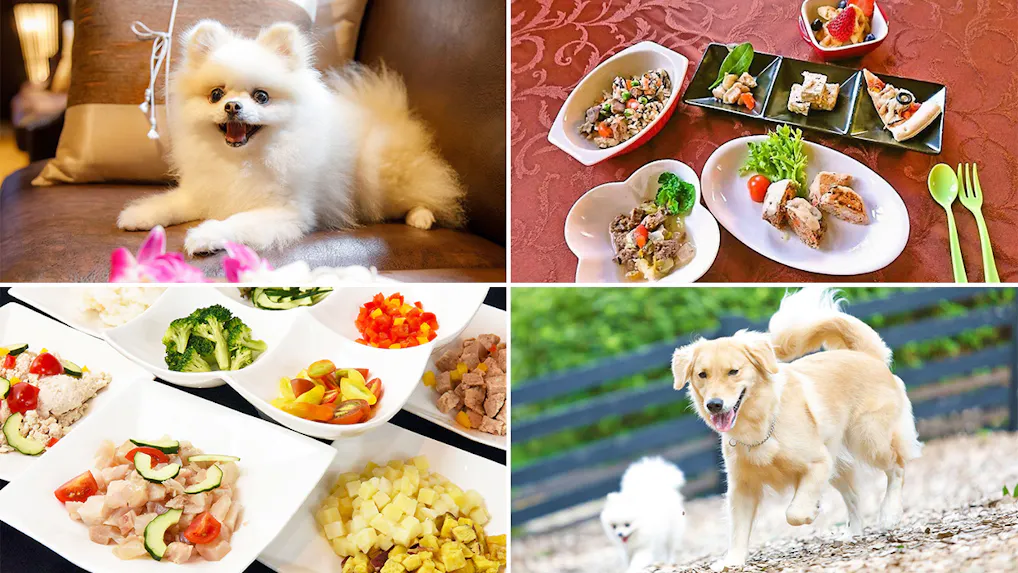 愛犬用のメニューも！ペットと一緒に食事ができるおすすめの宿　東日本編