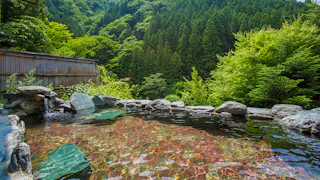 群馬の名湯・水上温泉で100％掛け流しを満喫するマウンテンビューの宿