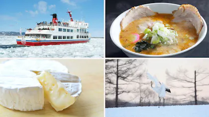 北海道観光のプロに聞いた！北海道のおすすめ観光スポット　冬編